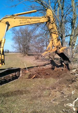 Fence Row Clearing